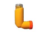 Salbutamol Salbutamol
